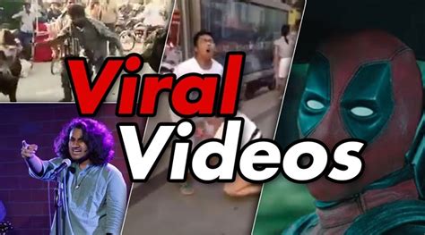 Viral Videos: Latest Trending Videos, Todays Viral